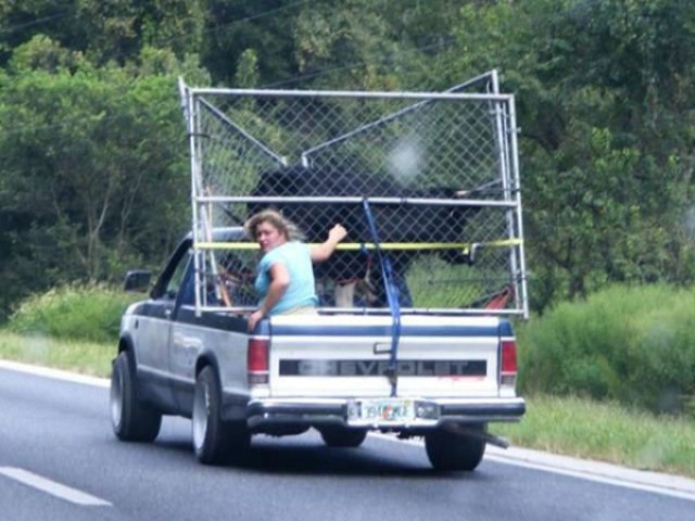 62 fotos que provam que o transporte não tem mais salvação