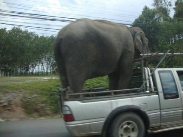 62 fotos que provam que o transporte não tem mais salvação