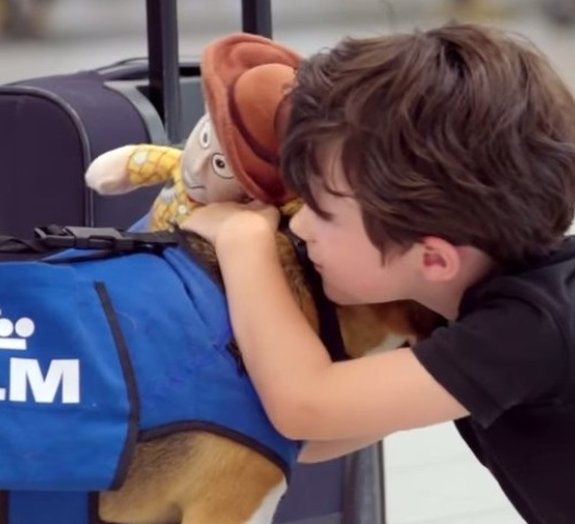 Empresa usa cachorro para achar dono de objeto perdido em aeroporto [vídeo]