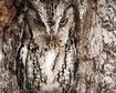 thumb-image-2024-02-29T13:58:50.611Z