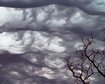 thumb-image-2024-02-29T13:58:51.055Z
