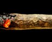 thumb-image-2024-02-29T13:58:51.158Z