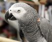 thumb-image-2024-02-29T13:58:51.432Z