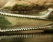 thumb-image-2024-02-29T13:58:51.809Z