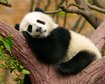 thumb-image-2024-02-29T13:58:52.387Z