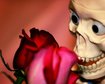 thumb-image-2024-02-29T13:58:52.980Z