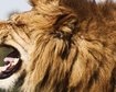 thumb-image-2024-02-29T13:58:53.707Z