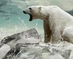 thumb-image-2024-02-29T13:58:53.919Z