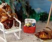 thumb-image-2024-02-29T13:58:54.320Z