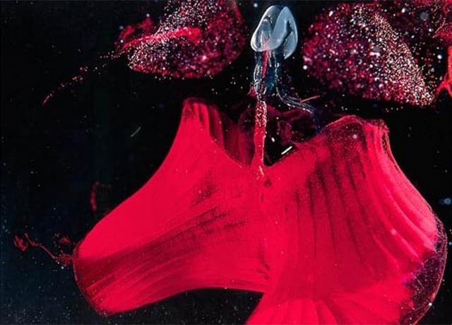 1980 –
Pequeno animal marinho da classe Larvacea clicado por James M. King do Instituto de Ciências Marinhas da Universidade da Califórnia em Santa Bárbara, em pigmento orgânico carmim.