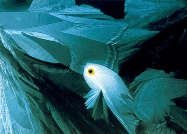 1990 – Cristais resultantes da evaporação de uma solução de sulfato de magnésio e ácido tartárico fotografados por Richard H. Lee do Argonne National Laboratory, dos EUA.