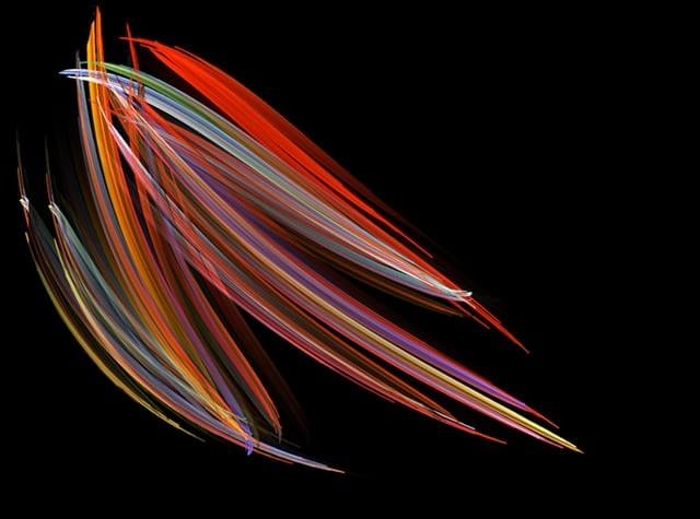 2008 – Diatomácea: mais precisamente, a imagem mostra Pleurosigma, um organismo marinho fotografado por Michael Stringer de Westcliff-on-Sea, localizado no Reino Unido.