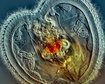thumb-image-2024-02-29T13:58:54.451Z