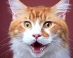 thumb-image-2024-02-29T13:58:54.523Z
