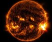 thumb-image-2024-02-29T13:58:54.600Z