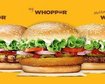 thumb-image-2024-02-29T13:58:54.591Z