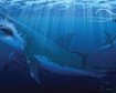 thumb-image-2024-02-29T13:58:54.666Z