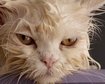 thumb-image-2024-02-29T13:58:54.831Z