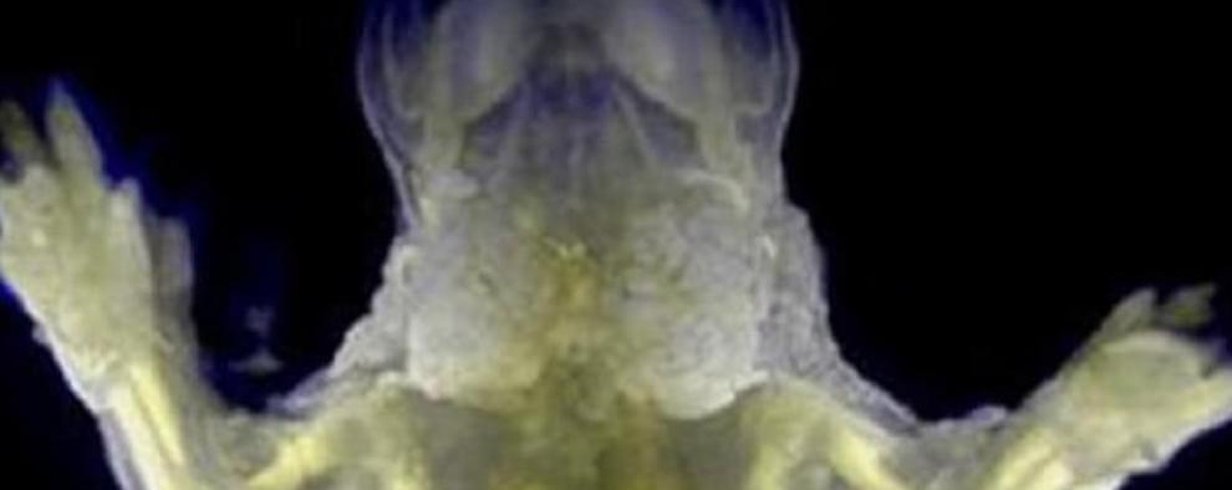 thumb-image-2024-02-29T13:58:54.916Z