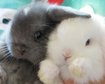 thumb-image-2024-02-29T13:58:54.963Z