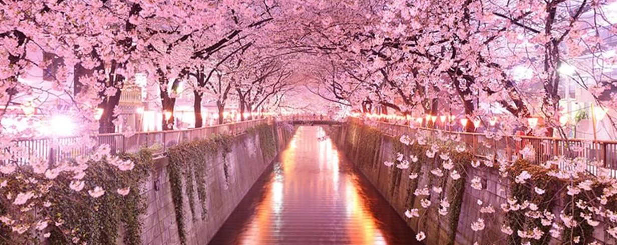 thumb-image-2024-02-29T13:58:55.224Z