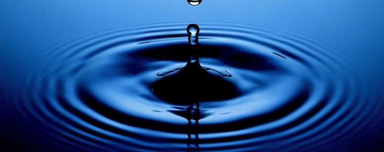 thumb-image-2024-02-29T13:58:55.464Z