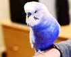 thumb-image-2024-02-29T13:58:55.705Z