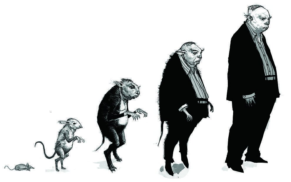 Perebas/Pedro Pettigrew