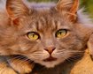 thumb-image-2024-02-29T13:58:55.975Z