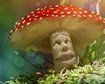 thumb-image-2024-02-29T13:58:56.221Z