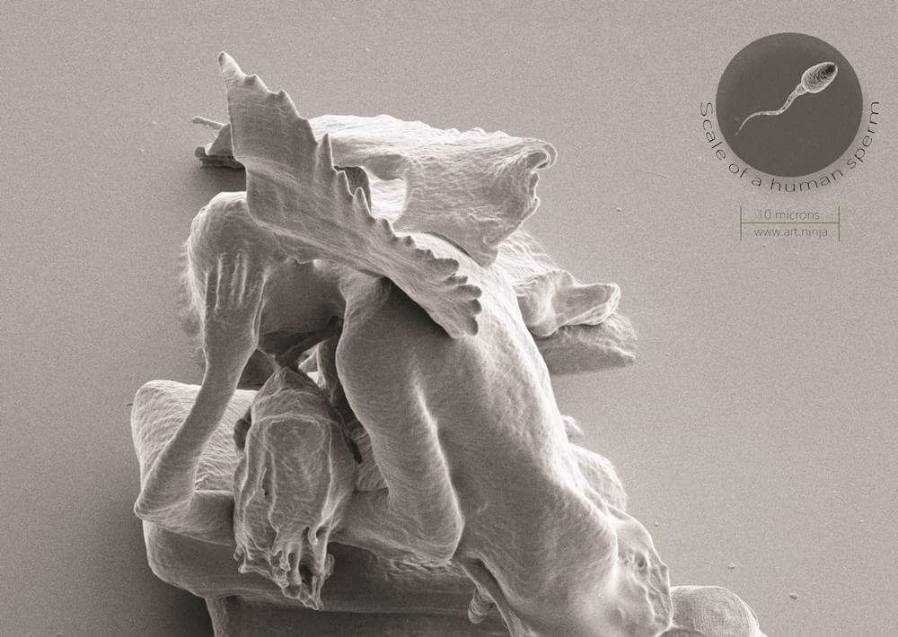 Querida, encolhi a arte: britânico faz escultura menor que um fio de cabelo