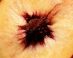 thumb-image-2024-02-29T13:58:56.916Z