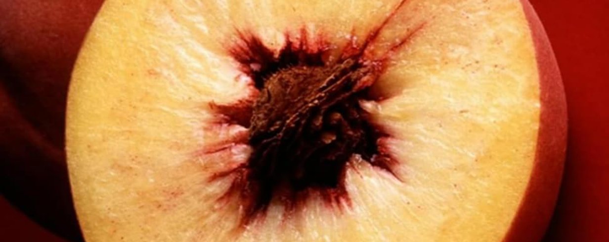 thumb-image-2024-02-29T13:58:56.916Z