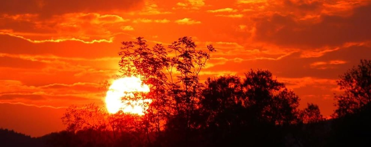 thumb-image-2024-02-29T13:58:57.136Z