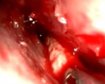 thumb-image-2024-02-29T13:58:57.419Z