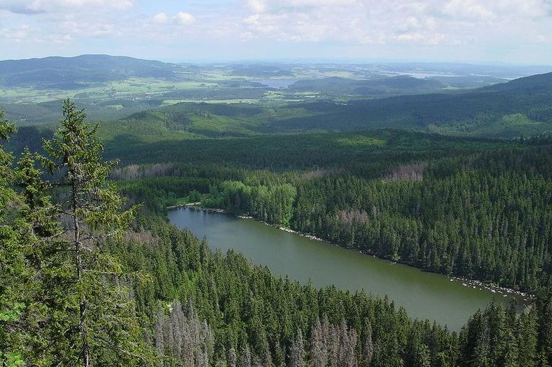 Šumava