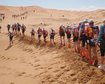 thumb-image-2024-02-29T13:58:58.100Z