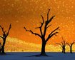 thumb-image-2024-02-29T13:58:58.183Z