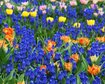 thumb-image-2024-02-29T13:58:58.334Z