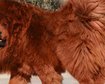 thumb-image-2024-02-29T13:58:58.421Z