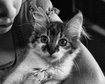 thumb-image-2024-02-29T13:58:58.531Z
