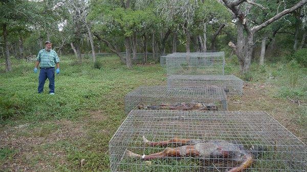 ConheÃ§a os mistÃ©rios e os segredos da maior fazenda de corpos do mundo