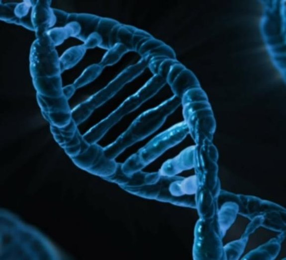 Cientistas descobrem que DNA pode sobreviver à viagem de reentrada na Terra