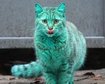 thumb-image-2024-02-29T13:58:59.072Z