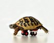 thumb-image-2024-02-29T13:58:59.101Z