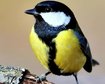 thumb-image-2024-02-29T13:59:00.163Z
