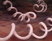thumb-image-2024-02-29T13:59:00.469Z