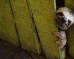 thumb-image-2024-02-29T13:59:00.851Z