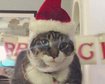 thumb-image-2024-02-29T13:59:01.067Z