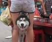 thumb-image-2024-02-29T13:59:01.874Z